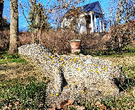 Gartenimpression ( Museum Gschenhaus / Foto: Simone Braue)